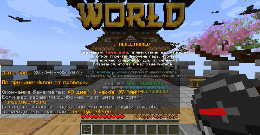 2024-08-24_20_06_10.thumb.png.cdbb71272eb10b0a4fe5a55ad5f60bbe.png