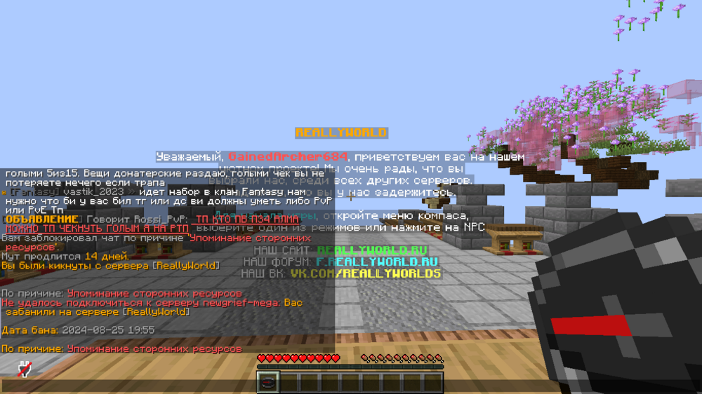 2024-08-25_19_56_55.thumb.png.4bab1256fa8d225d2d66d8c700c54c07.png