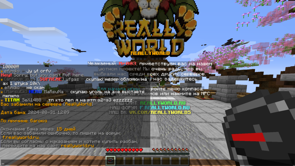 2024-08-31_12_09_21.thumb.png.2ef13cc44de62b18d1ec2c828b10d66e.png