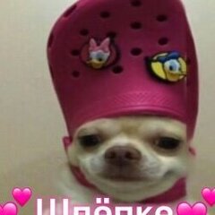 forsuk
