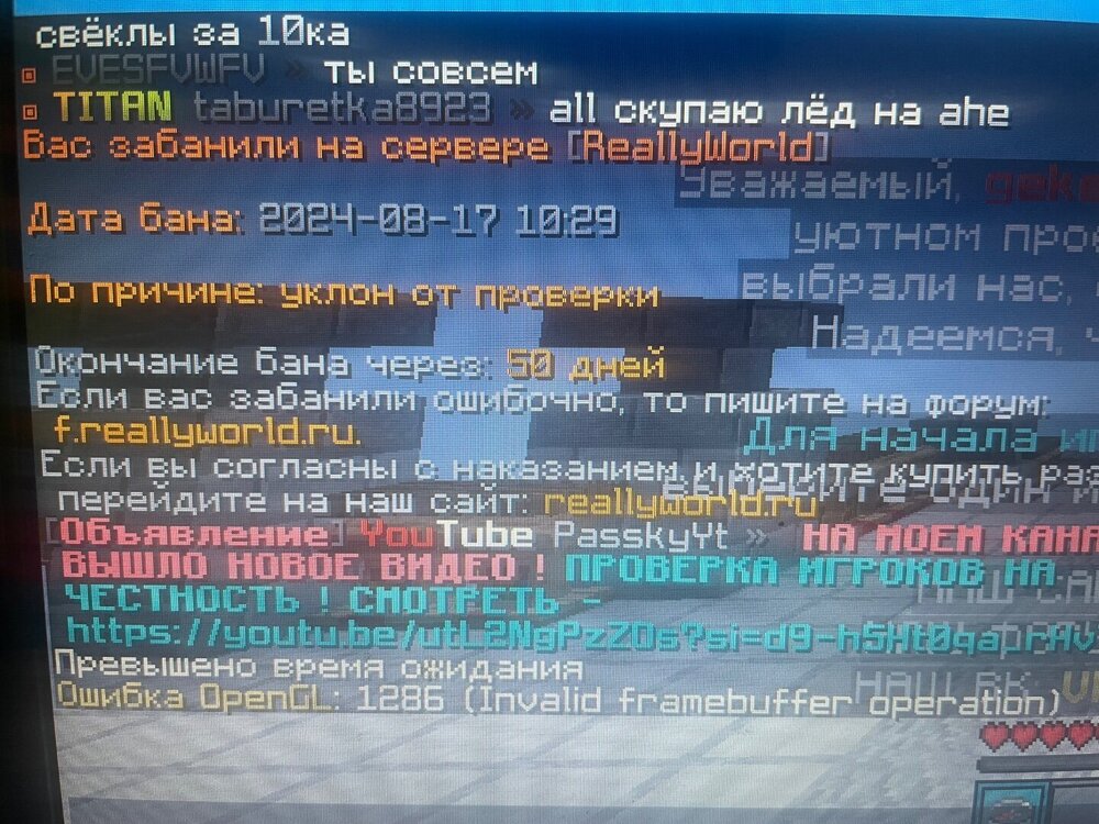 IMG_0397.jpeg