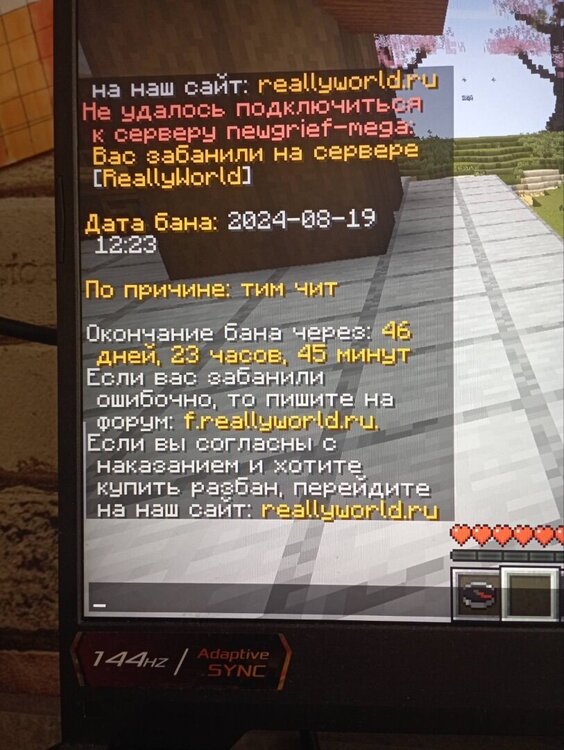 IMG_2660.jpeg