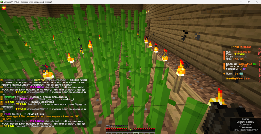 Minecraft_ 1.16.5 - Сетевая игра (сторонний сервер) 26.08.2024 13_58_55.png