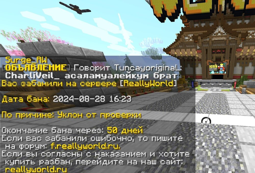Screenshot 2024-08-28 165045.jpg