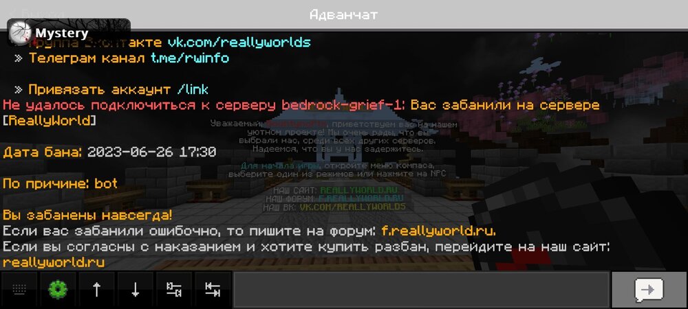 Screenshot_2024-08-09-10-53-22-324_com.mojang.minecraftpe.jpg