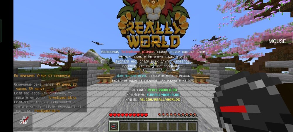 Screenshot_2024-08-10-20-12-58-23_bab8561a5f94f0a53956d8cbbeaad774.jpg