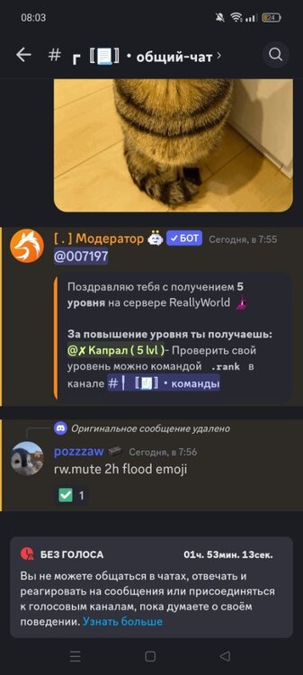 Screenshot_2024-08-12-08-03-12-50_572064f74bd5f9fa804b05334aa4f912.jpg