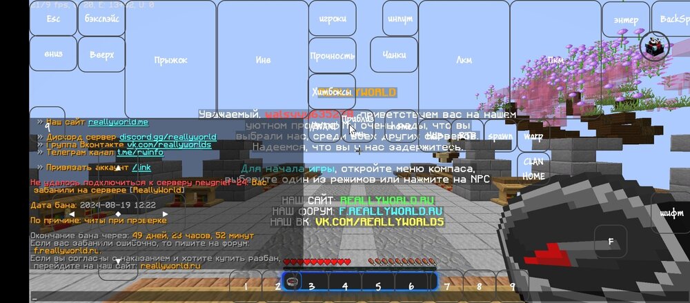 Screenshot_2024-08-19-12-30-25-651_com.tungsten.fcl.jpg
