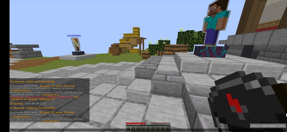 Screenshot_2024-08-20-23-17-21-834_com.tungsten.fcl.jpg