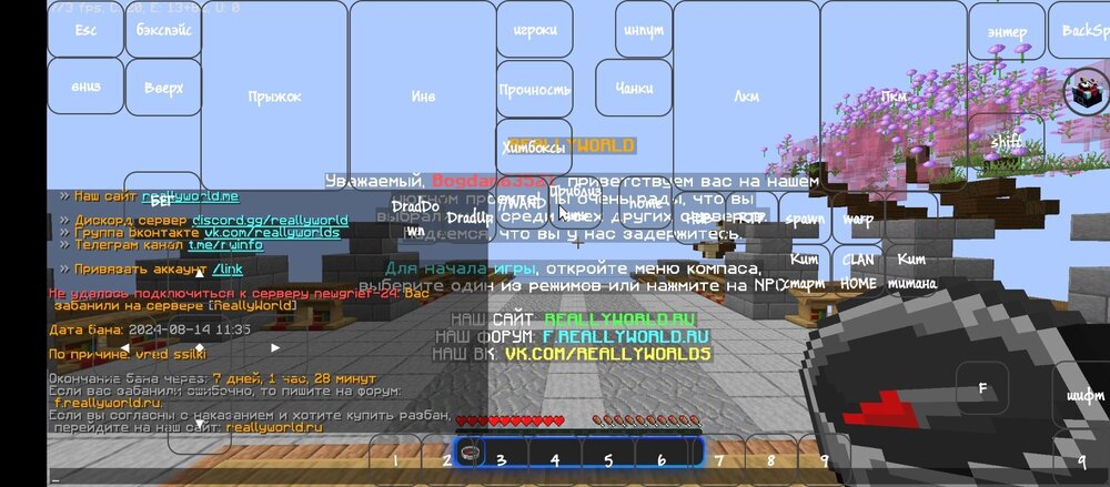 Screenshot_2024-08-21-10-06-10-039_com.tungsten.fcl.jpg
