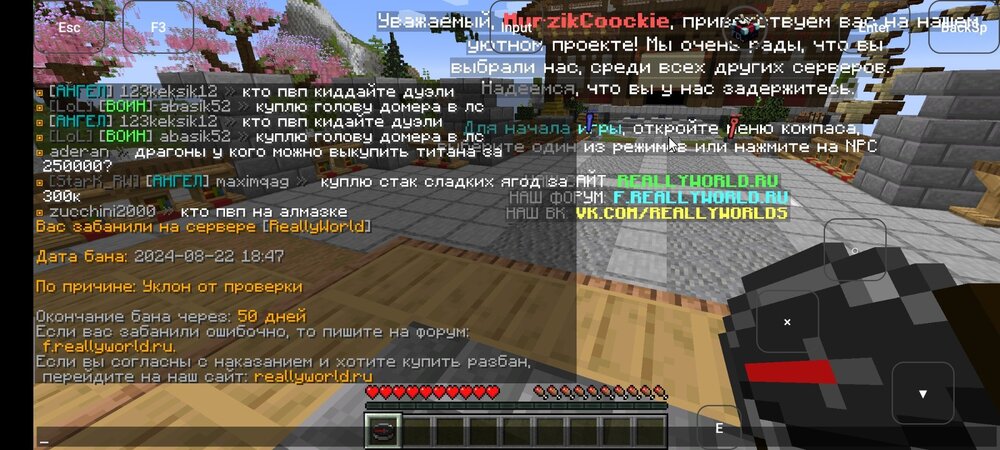 Screenshot_2024-08-22-17-48-06-977_com.tungsten.fcl.jpg