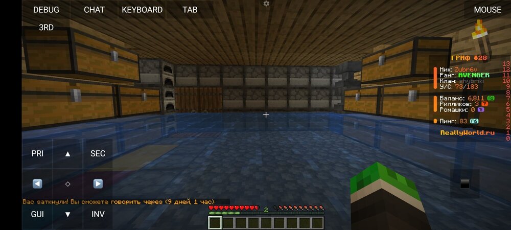 Screenshot_2024-08-27-17-23-03-798_net.kdt.pojavlaunch.jpg