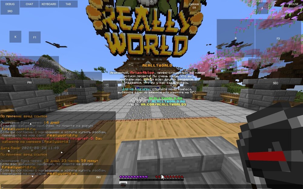 Screenshot_2024-08-28-11-53-53-435_net.kdt.pojavlaunch.jpg