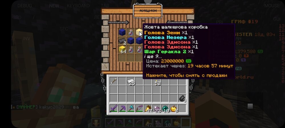 Screenshot_2024-08-31-16-56-48-446_net_kdt.pojavlaunch.thumb.jpg.54e17f2623bf330a2c8153dd187113ee.jpg