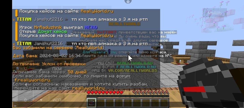 Screenshot_20240802-183411.thumb.jpg.15b80ed40a9cf0cd7df6b1a82dd56ae3.jpg