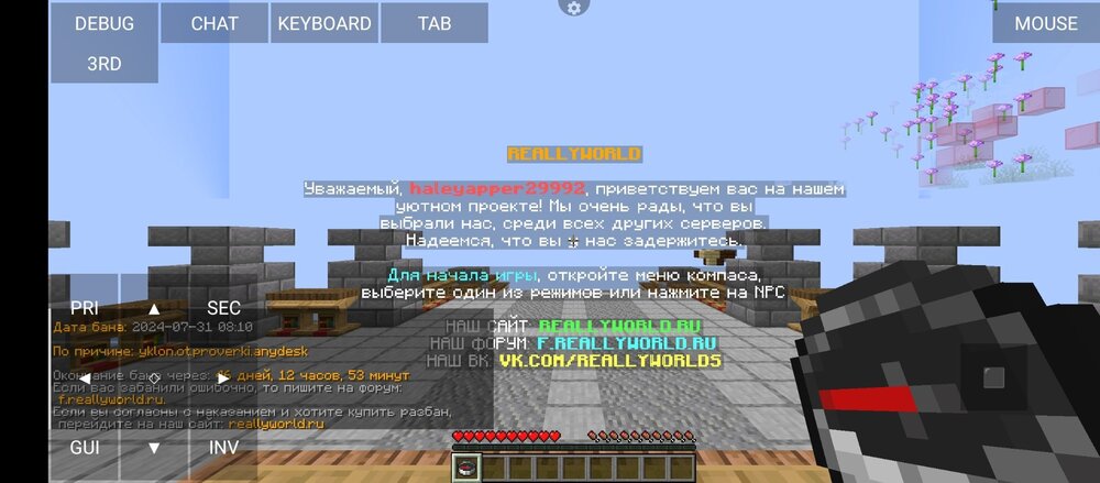 Screenshot_20240803-211718.jpg