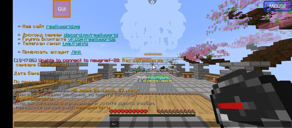 Screenshot_20240807-194714.jpg