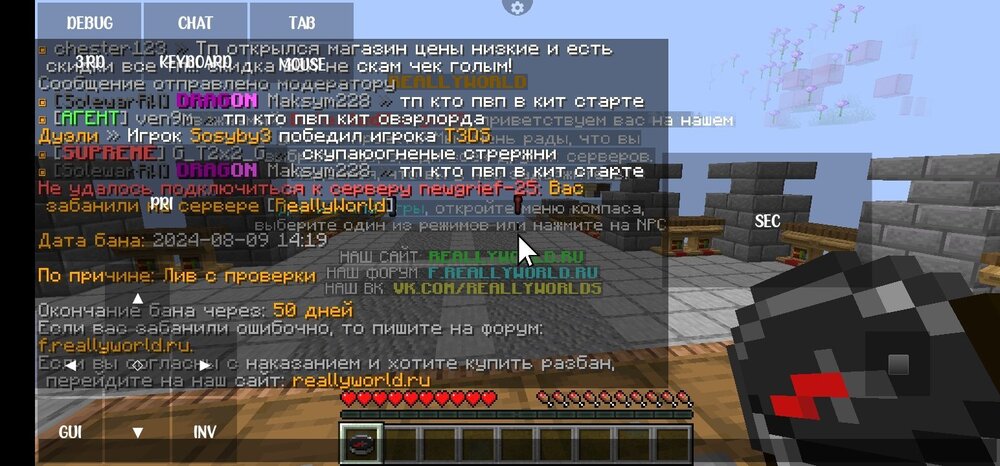 Screenshot_20240809_162025.jpg