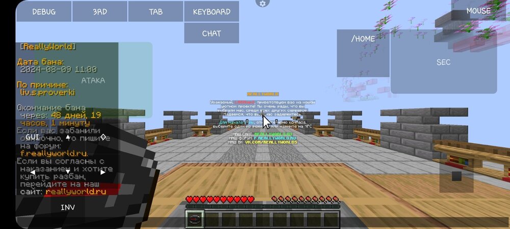 Screenshot_20240810_155935_PojavLauncher (Minecraft Java Edition for Android).jpg