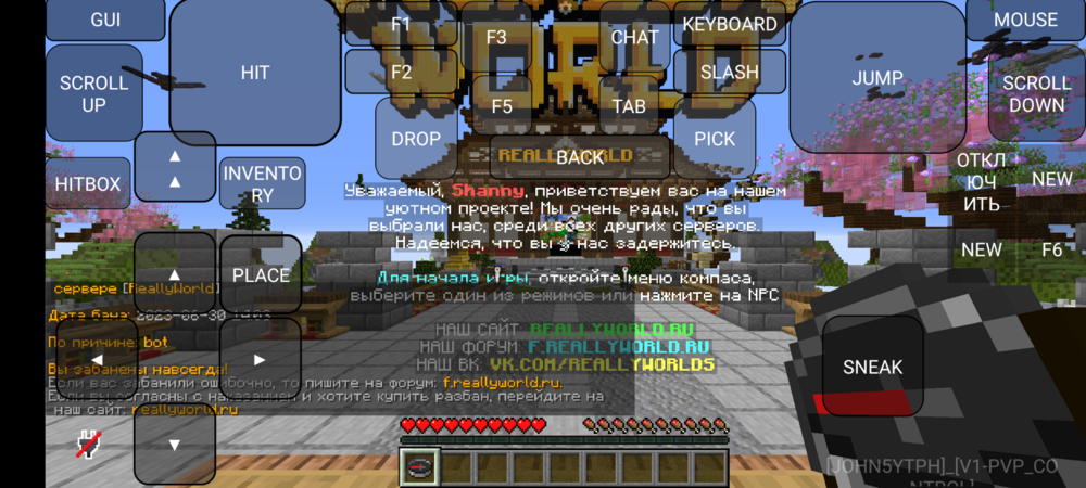 Screenshot_20240812-152035.png