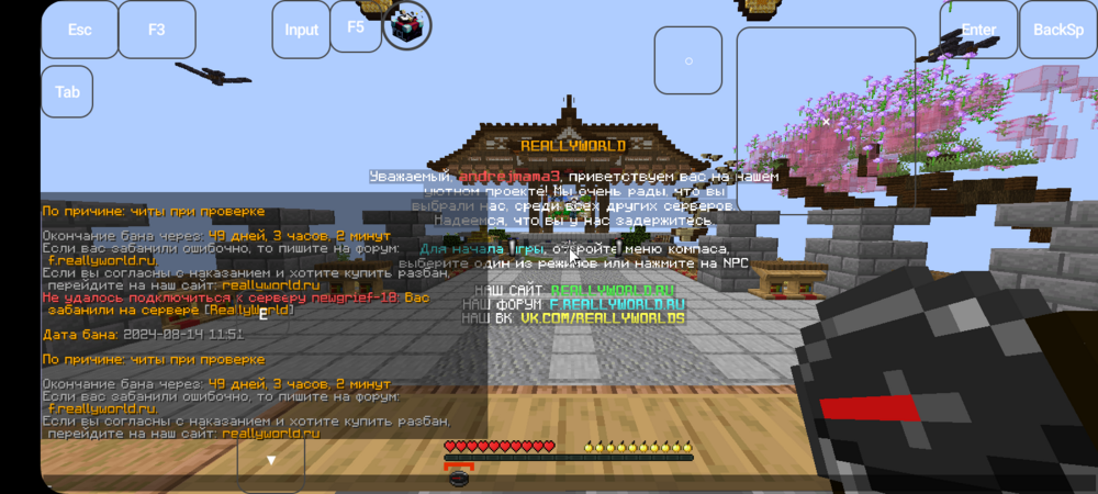 Screenshot_20240815_094908_FoldCraftLauncher.thumb.png.de9e53518563c312597192caf4c2c0d0.png