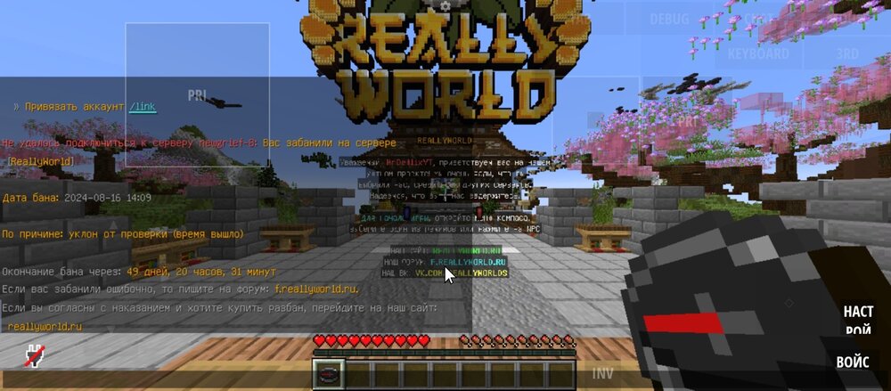 Screenshot_20240816-173803.thumb.jpg.0c82db9566447726d2adccddcc197c83.jpg