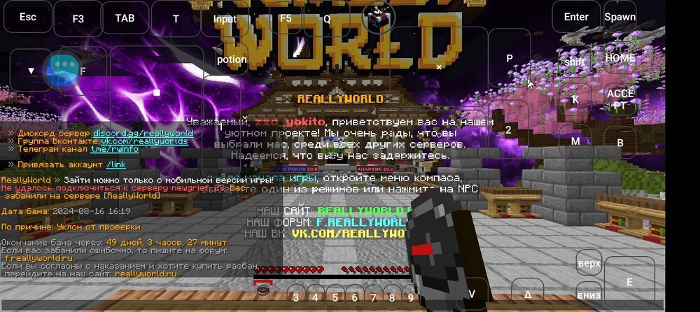 Screenshot_20240817-145159.jpg