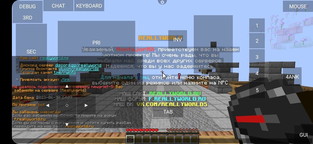Screenshot_20240818_175203_PojavLauncher (Minecraft Java Edition for Android).jpg