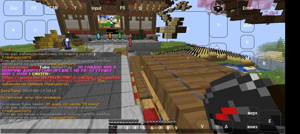 Screenshot_20240819-221937.jpg