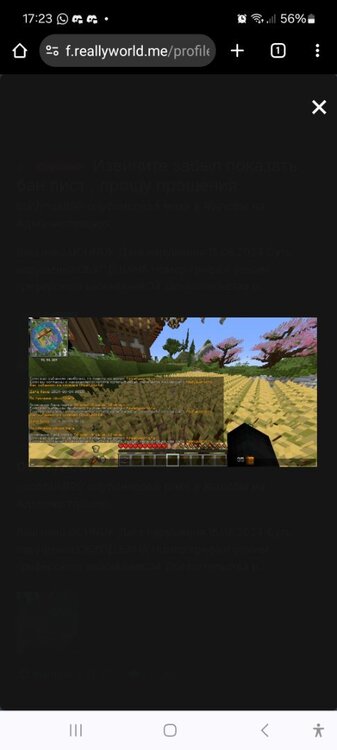 Screenshot_20240819_172348_Chrome.jpg
