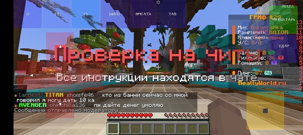 Screenshot_20240823-021827.jpg