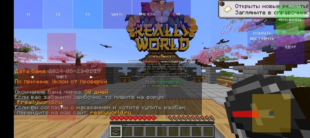 Screenshot_20240823-021932.jpg