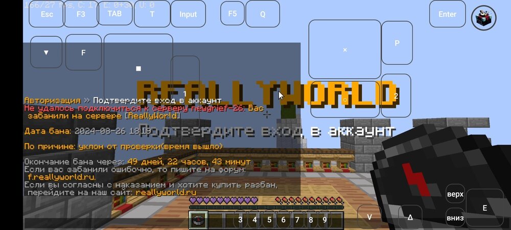 Screenshot_20240826-213542.jpg
