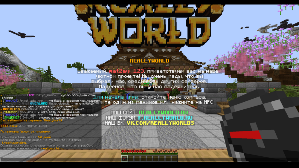 image-52.png