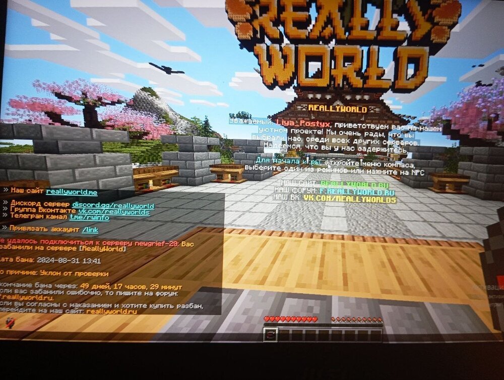 image.thumb.jpeg.3f9c8825a87340ba825a7d5a2922b2d2.jpeg