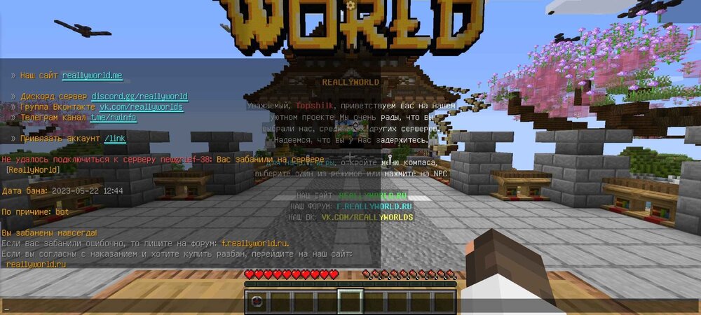 image.thumb.jpeg.8c28331f4e27b69a7111a812b6c84a45.jpeg
