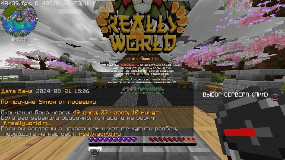image.thumb.jpeg.a2624b2476102ee8884292ea72d00e43.jpeg