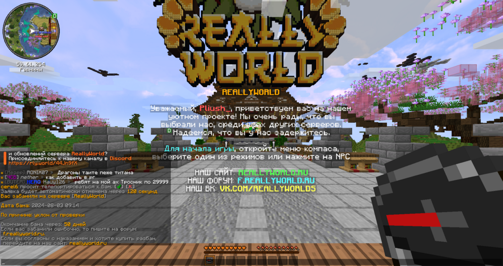 image.thumb.png.464c9efc5f483005426504b25a28e04b.png