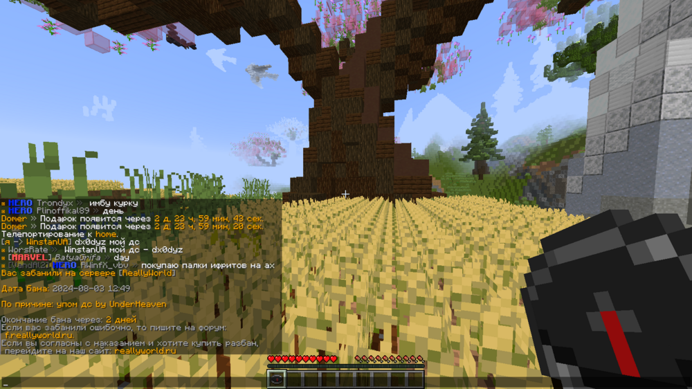 image.thumb.png.4d213e3673d291291da116b83a604bec.png