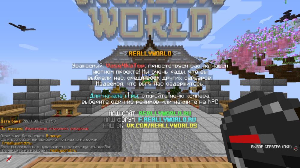 image.thumb.png.52a3934871fb1b6f104a4ec54615bc92.png