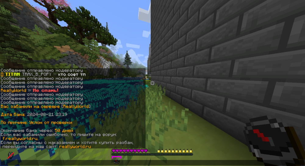 image.thumb.png.668d3a1651176c5d03da3ea2bcc75c4e.png