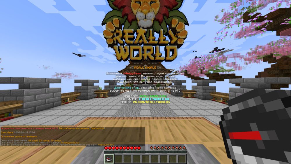 image.thumb.png.9677994768ec384d730496b2027e8759.png