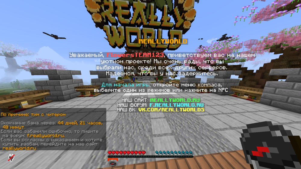 image.thumb.png.9e861c8c81da46359a7bdd0e0f3506f9.png