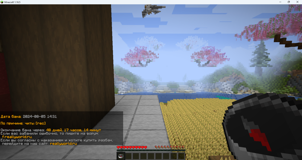 image.thumb.png.a7eb75264bd112151d4fee89162a9ded.png