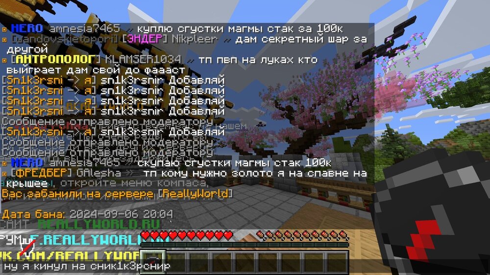 Скриншот 06-09-2024 200430.jpg
