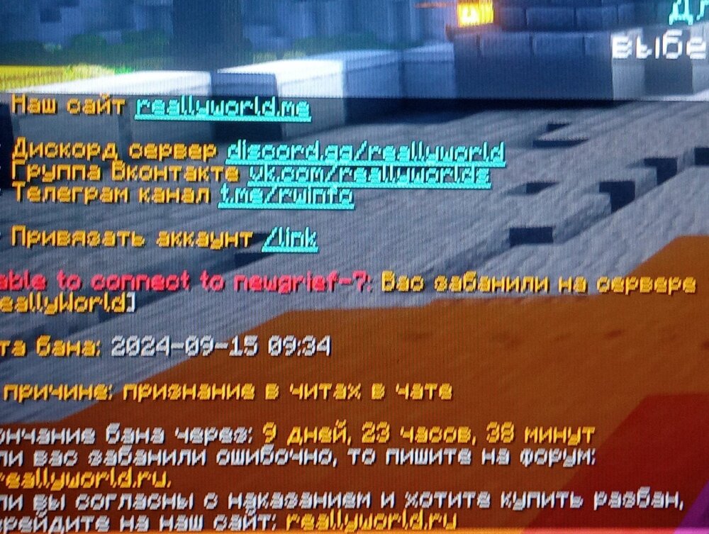 17263833516701398298650433915785.jpg