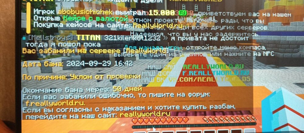 1727617384877.thumb.jpg.7220417afd18a5249ce9aab8a9bfcf40.jpg