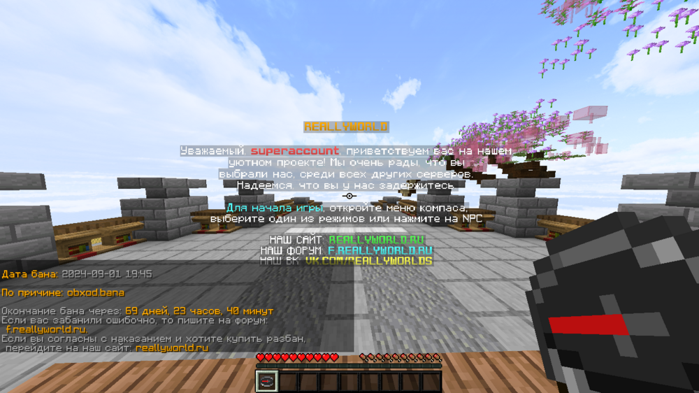 2024-09-01_20_04_29.thumb.png.c869e4de3928c5d8d48414e35f0094c2.png
