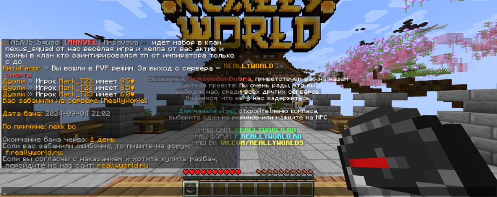 2024-09-04_21_03_36.thumb.png.7b7b993f26dd86c152cae68d70e1b7ef.png