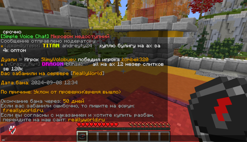 2024-09-08_12.49.38.png